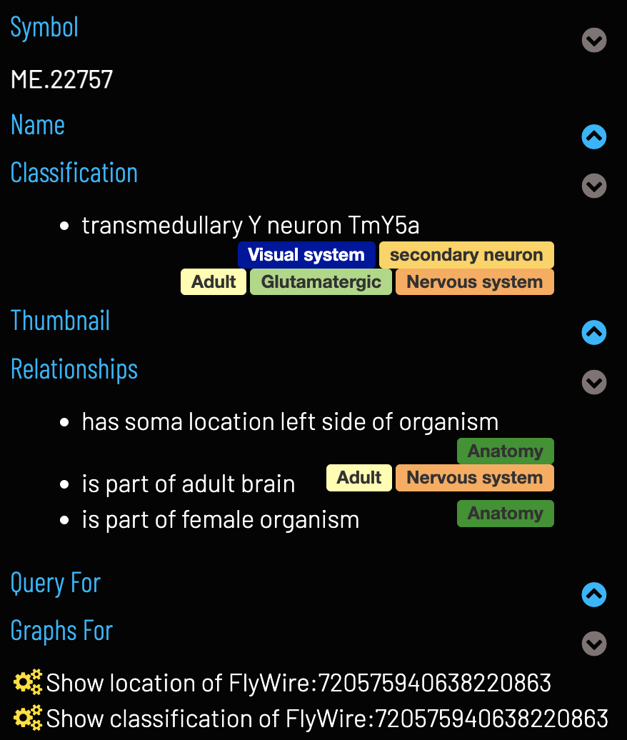 Classification, Relationships and Graphs in Term Info.